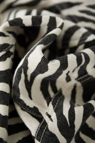 Het zebrajack h5 Afbeelding4